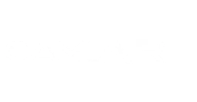 partners who work with Bizzocasino